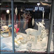 IMG_5294.JPG