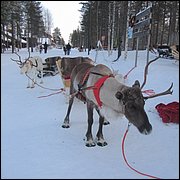 IMG_5321.JPG
