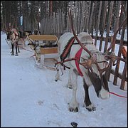 IMG_5322.JPG