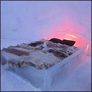 IMG_5341.JPG