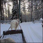 IMG_5350.JPG