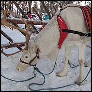 IMG_5354.JPG