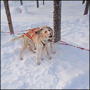 IMG_5362.JPG