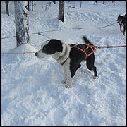 IMG_5363.JPG
