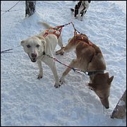 IMG_5364.JPG