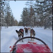 IMG_5369.JPG