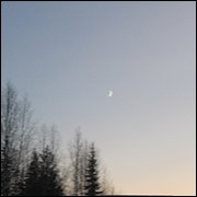 IMG_5370.JPG