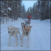 IMG_5372.JPG