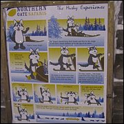 IMG_5390.JPG
