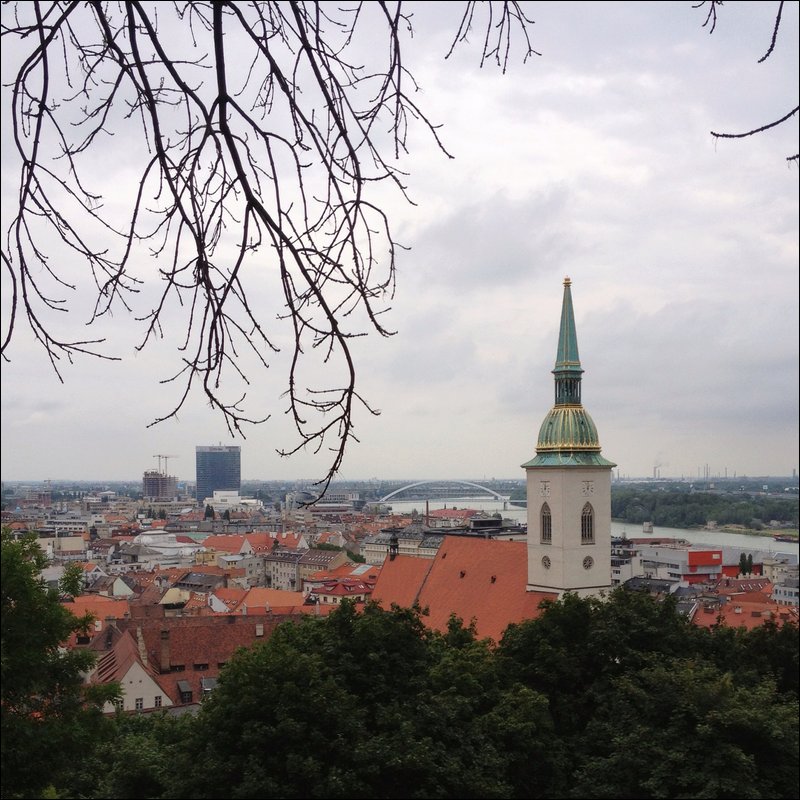 IMG_4833.JPG