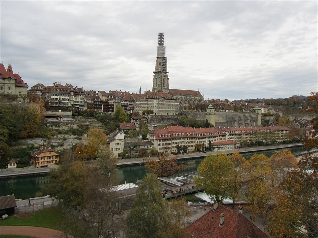 IMG_4510.JPG