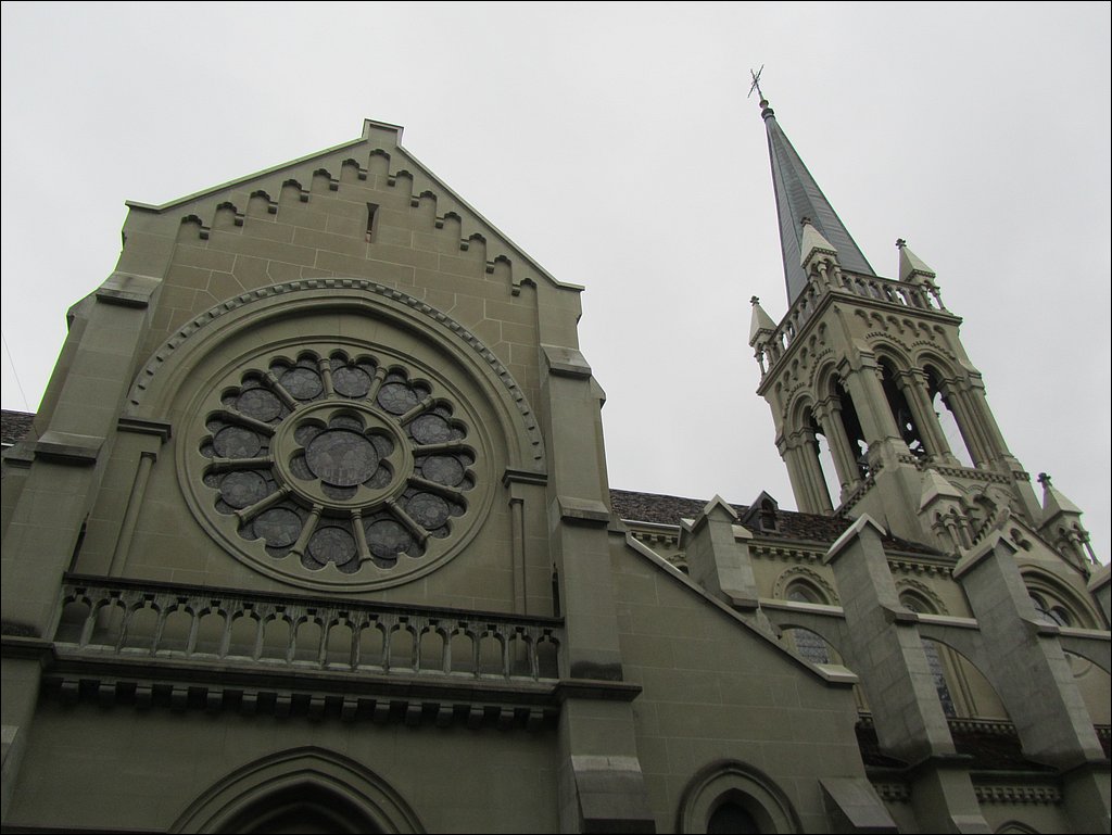 IMG_4541.JPG