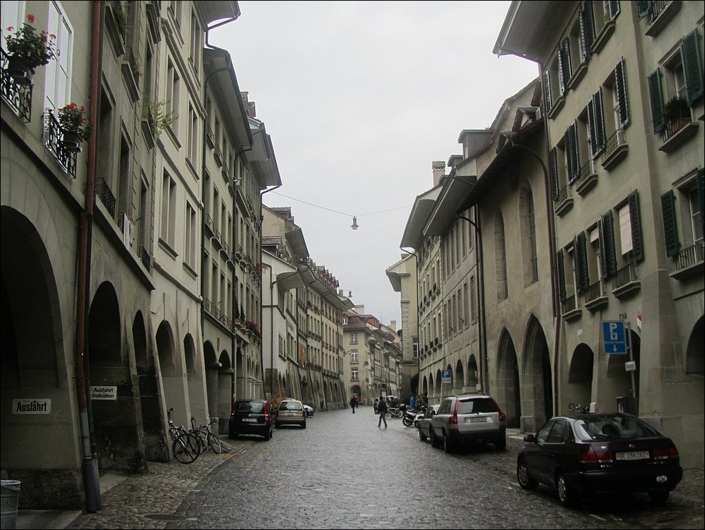 IMG_4549.JPG
