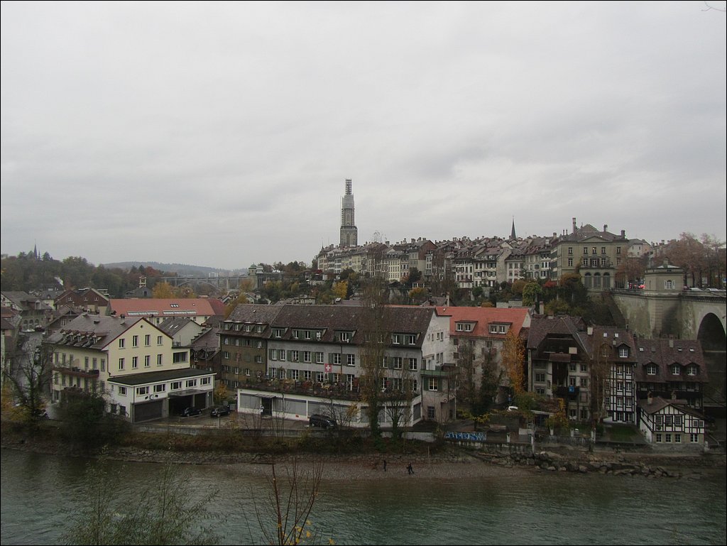 IMG_4579.JPG