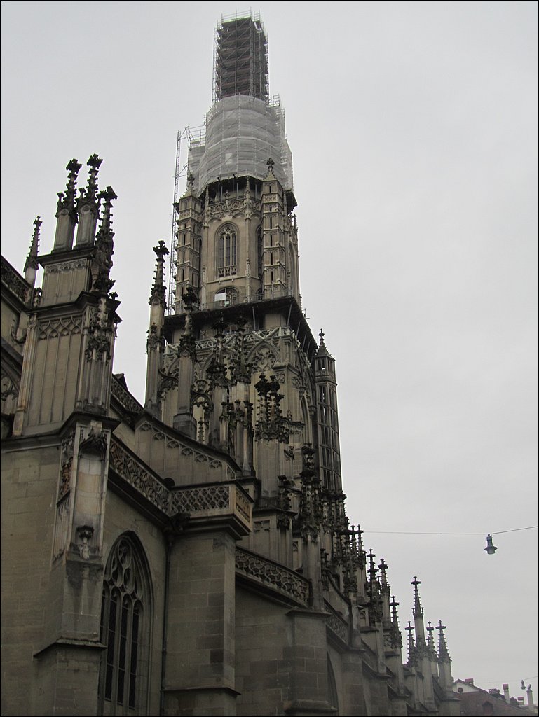 IMG_4599.JPG