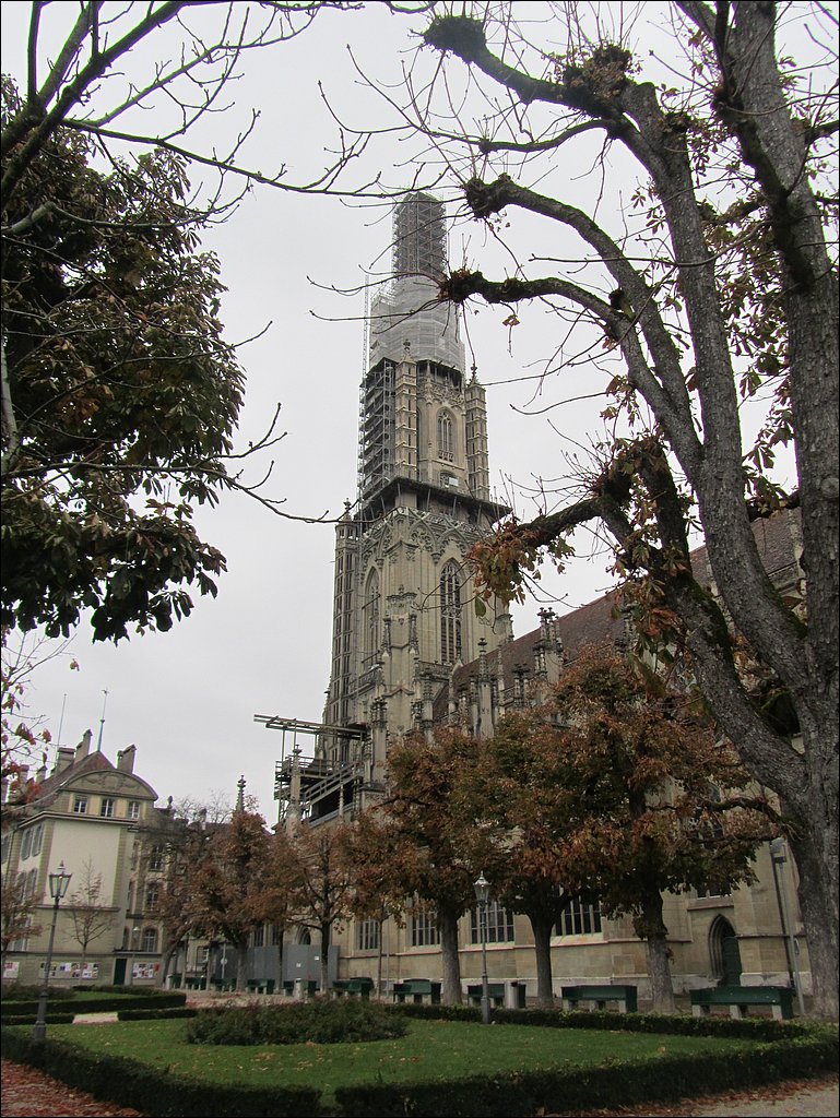 IMG_4603.JPG