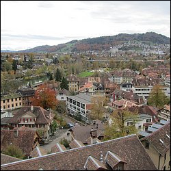 IMG_4469.JPG