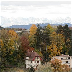 IMG_4474.JPG