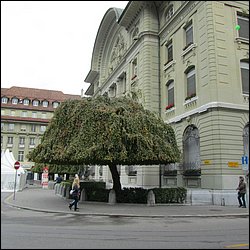 IMG_4478.JPG