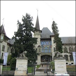 IMG_4505.JPG