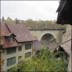 IMG_4558.JPG