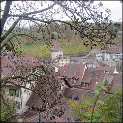 IMG_4562.JPG