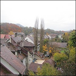 IMG_4565.JPG