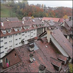 IMG_4566.JPG
