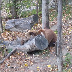 IMG_4578.JPG
