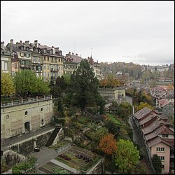 IMG_4605.JPG