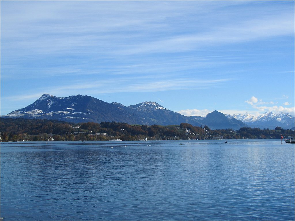 IMG_4138.JPG