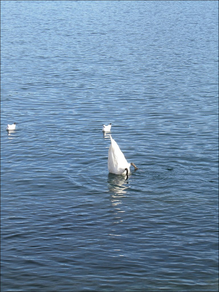 IMG_4146.JPG