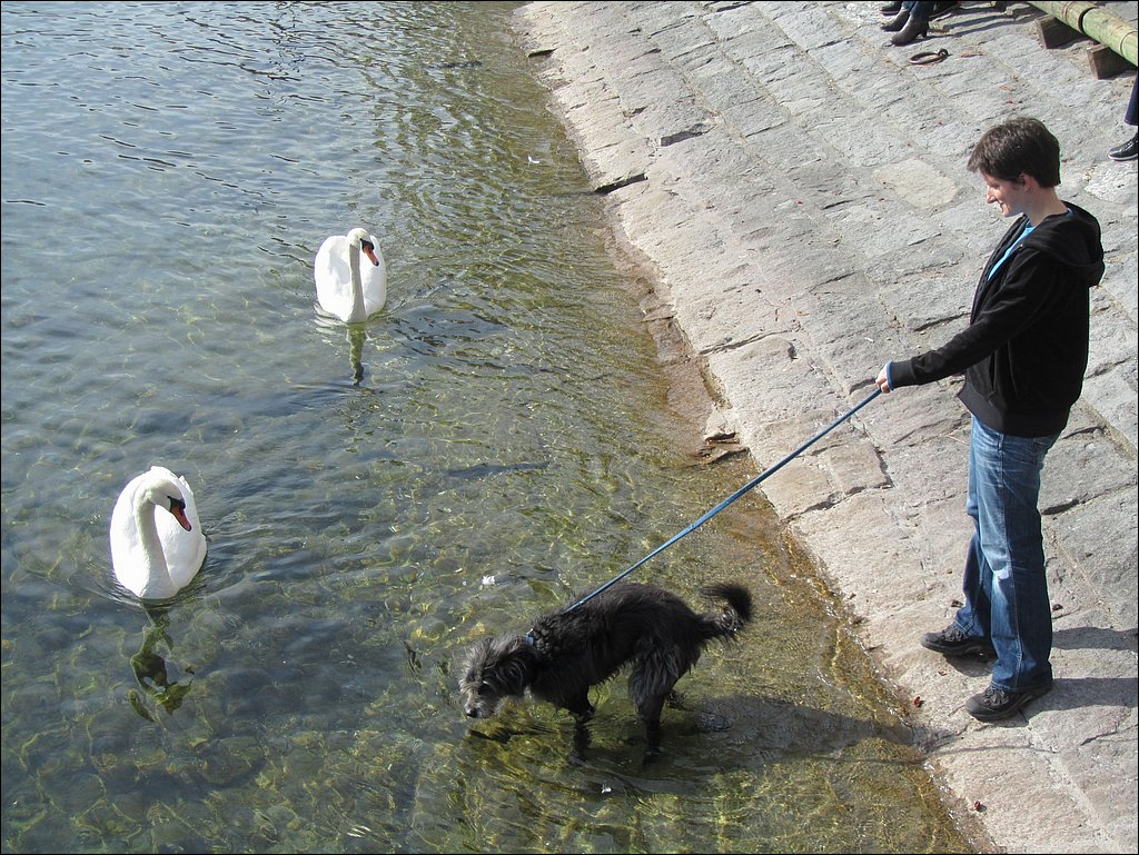 IMG_4163.JPG