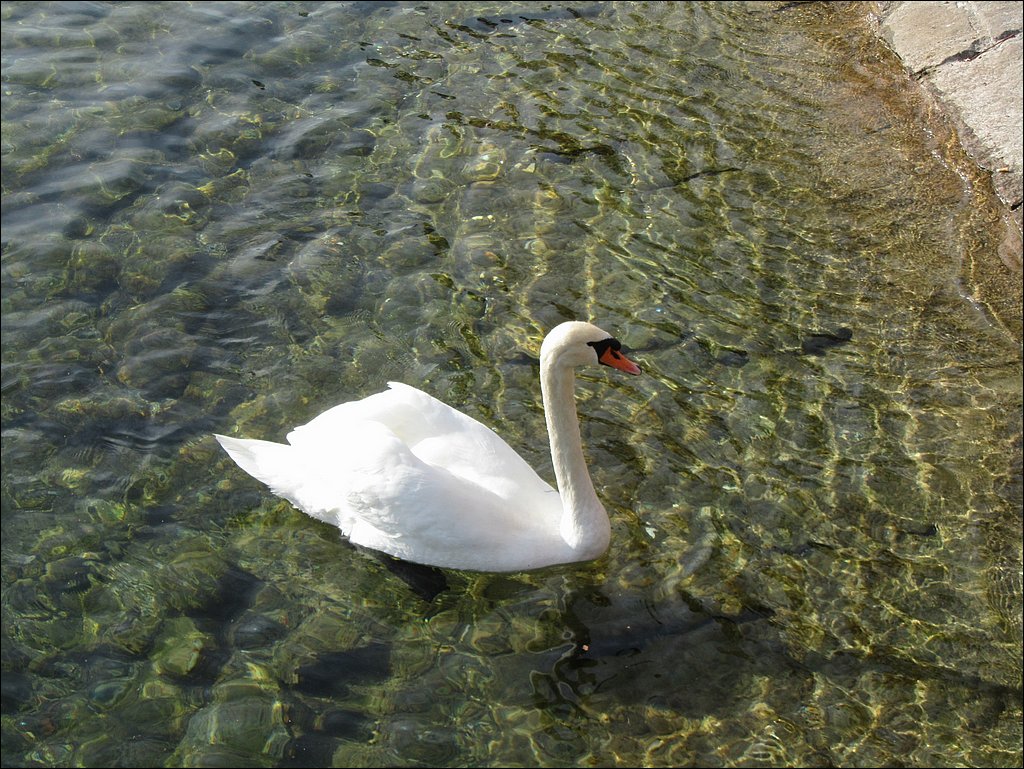 IMG_4165.JPG