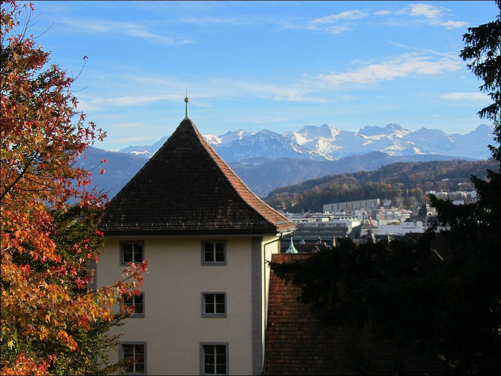 IMG_4278.JPG
