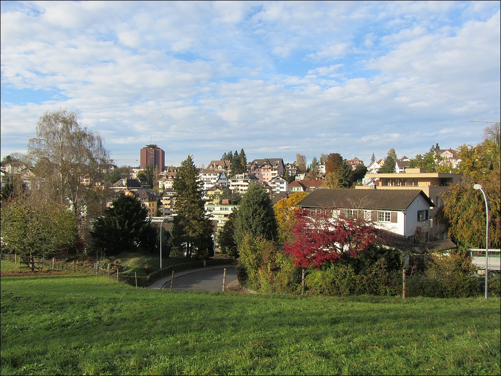 IMG_4316.JPG