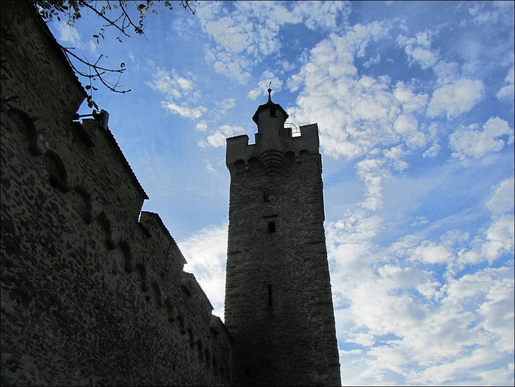 IMG_4319.JPG