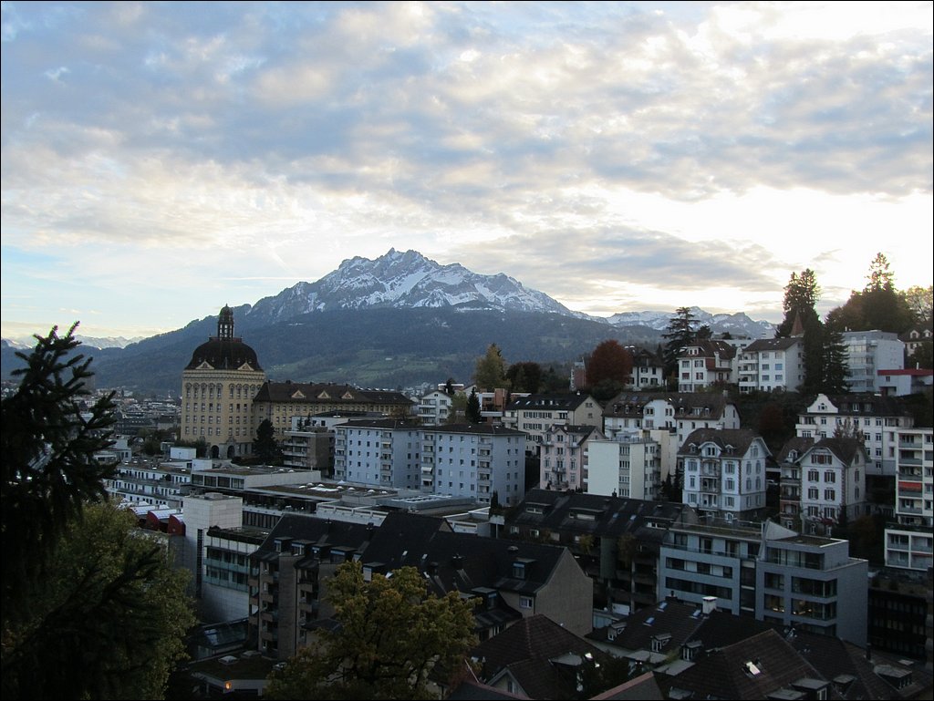 IMG_4356.JPG