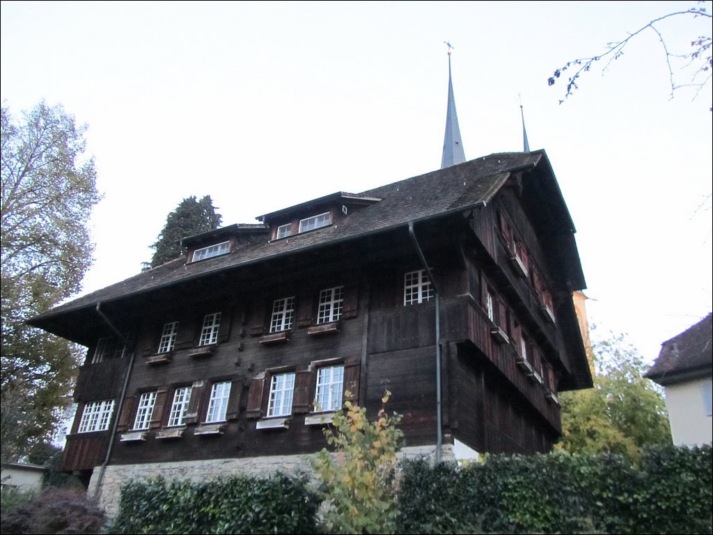 IMG_4364.JPG
