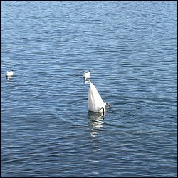 IMG_4146.JPG