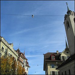 IMG_4149.JPG