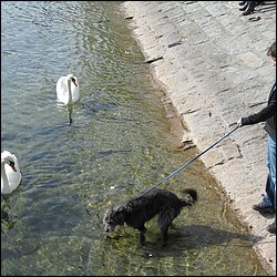 IMG_4163.JPG