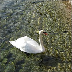 IMG_4165.JPG