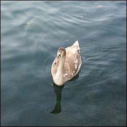 IMG_4188.JPG