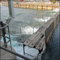 IMG_4212.JPG