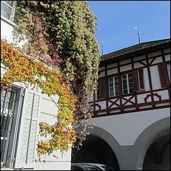 IMG_4224.JPG
