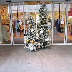 IMG_4248.JPG