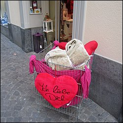 IMG_4249.JPG