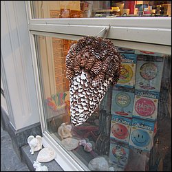 IMG_4250.JPG