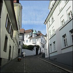 IMG_4259.JPG